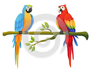 Cute macaw parrot birds set perched on a branch