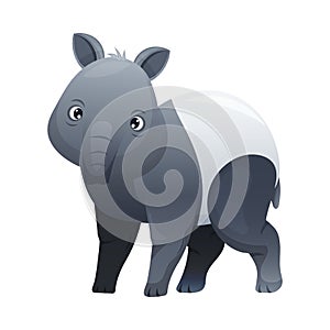 Cute Malayan Tapir Standing as Asian Animal with White Patch and Short Nose Trunk Vector Illustration