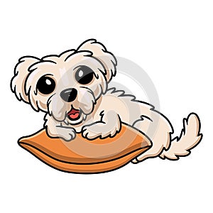 Cute maltese puppy dog cartoon on the pillow