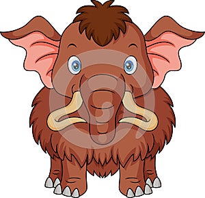 Cute mammoth cartoon on white background