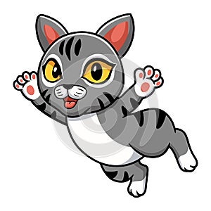 Cute manx cat cartoon flying