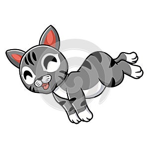 Cute manx cat cartoon jumping