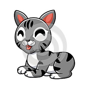 Cute manx cat cartoon sitting