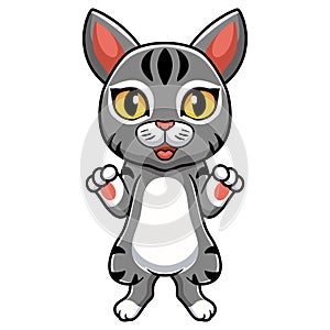 Cute manx cat cartoon standing