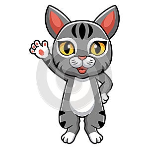 Cute manx cat cartoon waving hand