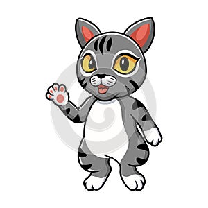 Cute manx cat cartoon waving hand