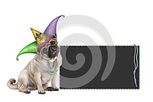 Cute Mardi gras carnival pug puppy dog sitting down with harlequin jester hat and blackboard sign