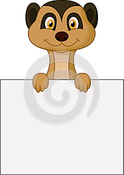 Cute meerkat cartoon holding blank sign