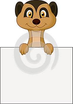 Cute meerkat cartoon holding blank sign photo