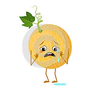 Cute melon character with crying and tears emotions, face, arms and legs. The funny or sad hero, fruit