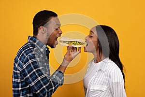 Cute millennial african american man and woman eat one sandwich for two at covid-19 quarantine