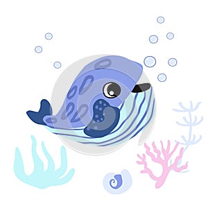 Cute Minke whale with bubbles, seashells and seaweed underwater.