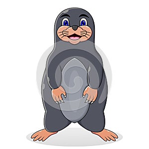 Cute mole cartoon with background white
