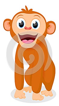 Cute monkey cartoon