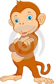 Cute monkey cartoon