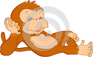 Cute monkey cartoon