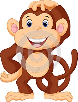 Cute monkey cartoon