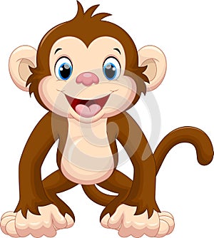 Cute monkey cartoon