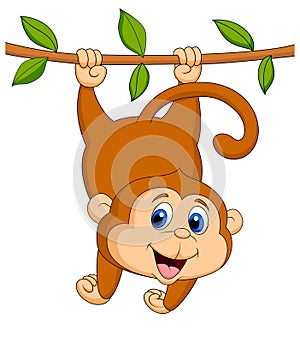 Cute monkey cartoon hanging