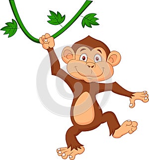 Cute monkey cartoon hanging