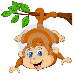 Cute monkey cartoon hanging on a tree branch