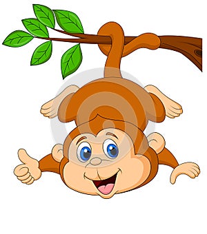 Cute monkey cartoon hanging on a tree branch with thumb up
