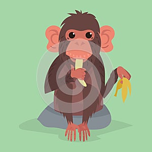 Cute monkey character animal wild zoo ape chimpanzee vector illustration.