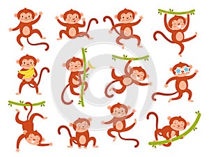 Cute monkey character. Funny jungle baby animal mascot in different poses, various emotion, exotic tropical playing