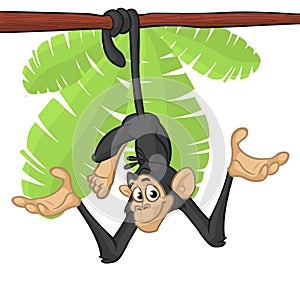 Cute Monkey Chimpanzee Hanging On Wood Branch. Vector Illustration Cartoon. Outlined.