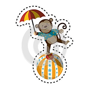 cute monkey circus animal