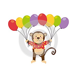 Cute monkey circus animal