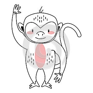 cute monkey design