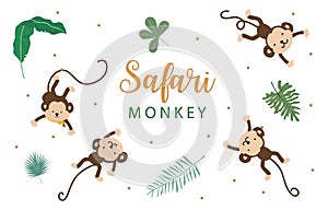 cute monkey element object for safari design photo