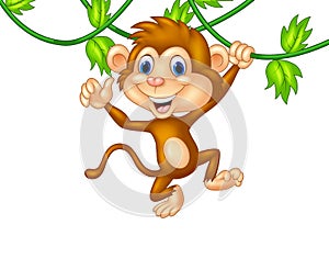 Cute monkey hanging giving thumb up