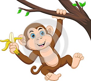 Cute monkey hanging on a tree and holding a banana cartoon