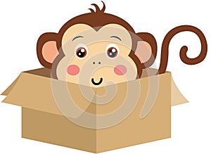 Cute monkey peeking out in cardboard box