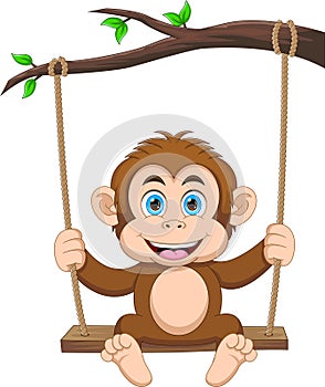 Cute monkey playing on swing cartoon