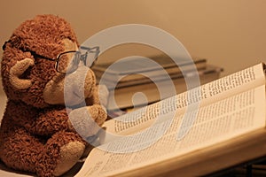 Cute Monkey reading book