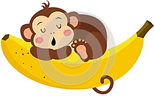 Cute monkey sleeping on banana