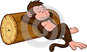 Cute monkey is sleeping