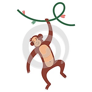 Cute monkey smiling and hanging of a creeper plant, cheerful chimp or macaque, isolated vector illustration on white