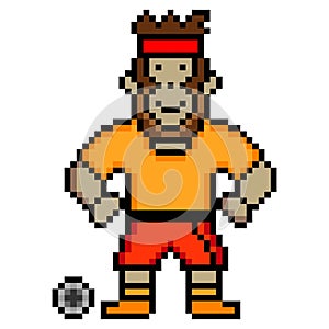 Cute monkey soccer player with pixel art