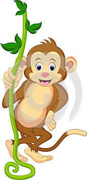 A cute monkey swinging from vines