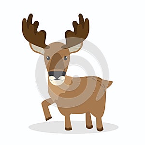 Cute Moose Cartoon flat vector