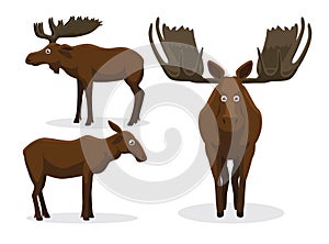 Cute Moose Cartoon Vector Illustration