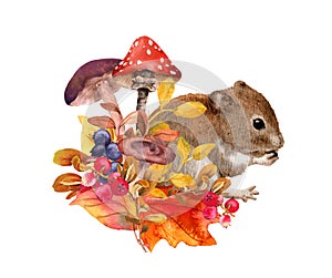 Cute mouse in autumn fall yellow leaves, mushrooms, forest berries, plants. Autumnal woodland design. Natural