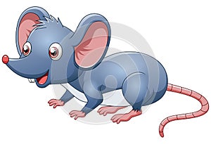 Cute mouse cartoon on white background