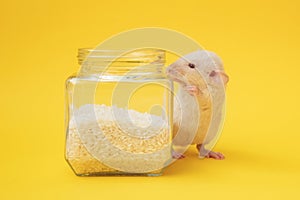 Cute mouse with a cereals glass jar