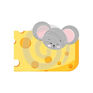 Cute mouse head looking out of hole in cheese