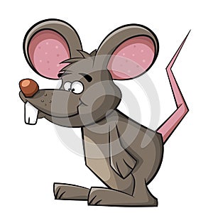 Cute mouse. Rat applause.
